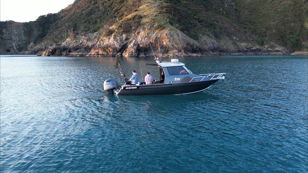 Overnight at GREAT BARRIER Island - Spearfishing Big Snapper + Crayfish