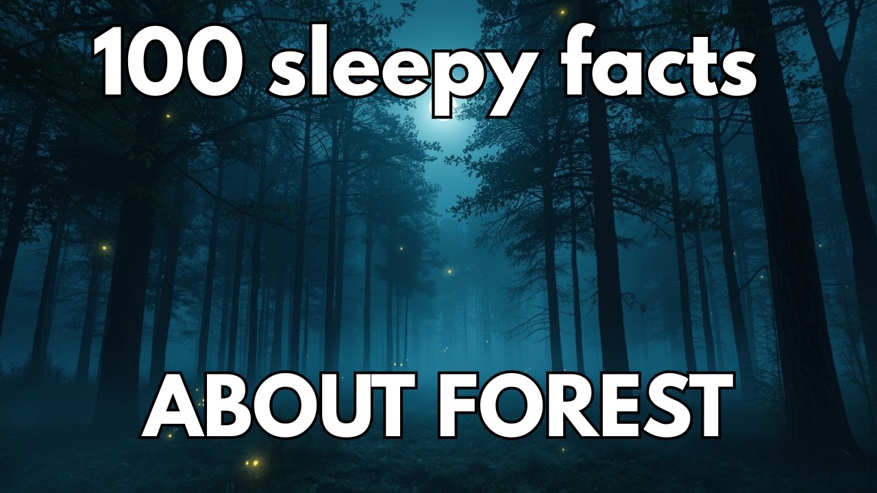 The Most Relaxing Forest Facts to Fall Asleep To | SLEEP STORY
