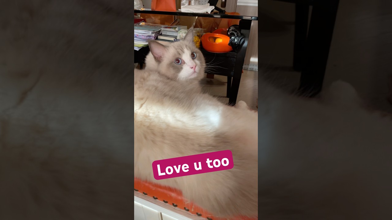Ok u sleep now 