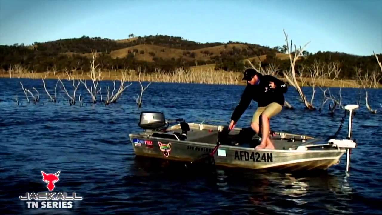Jackall Australia - TN Series on Golden Perch