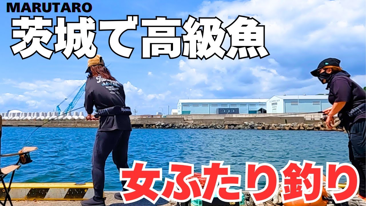 茨城の漁港でアジキス調査!!まさかの初魚種が登場!!