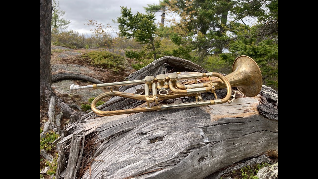 Vannetelbosch: Etude No. 1, from 20 Etudes (on B flat trumpet). Etude Project No. 60B.