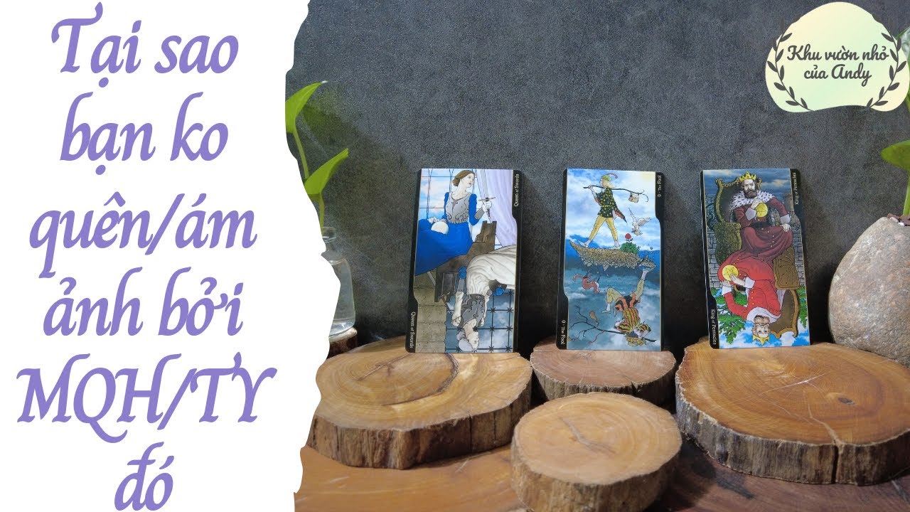 Tại sao bạn ko qu&ecirc;n hoặc bị &aacute;m ảnh bởi kết nối hoặc TY đ&oacute; |Trải b&agrave;i tarot| Khu vườn Andy