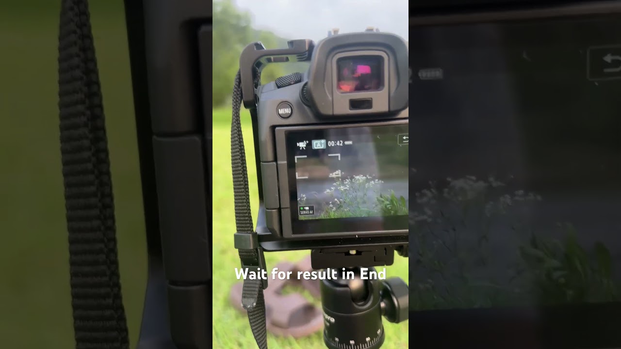 My iphone vs my Canon EOS R #canoneosr #canonphotography #canon #travel #nature #iphone14promax