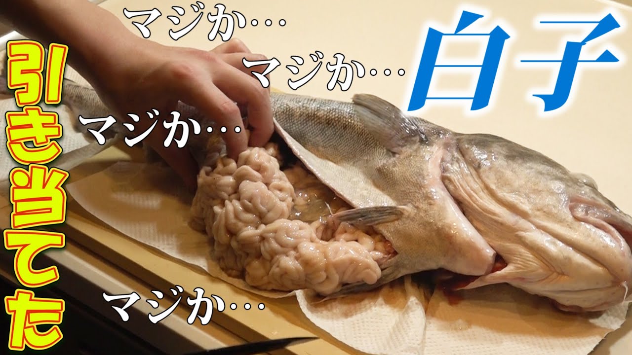 【奇跡キタ】旬の白子が手に入ったので納豆ご飯を食べます。