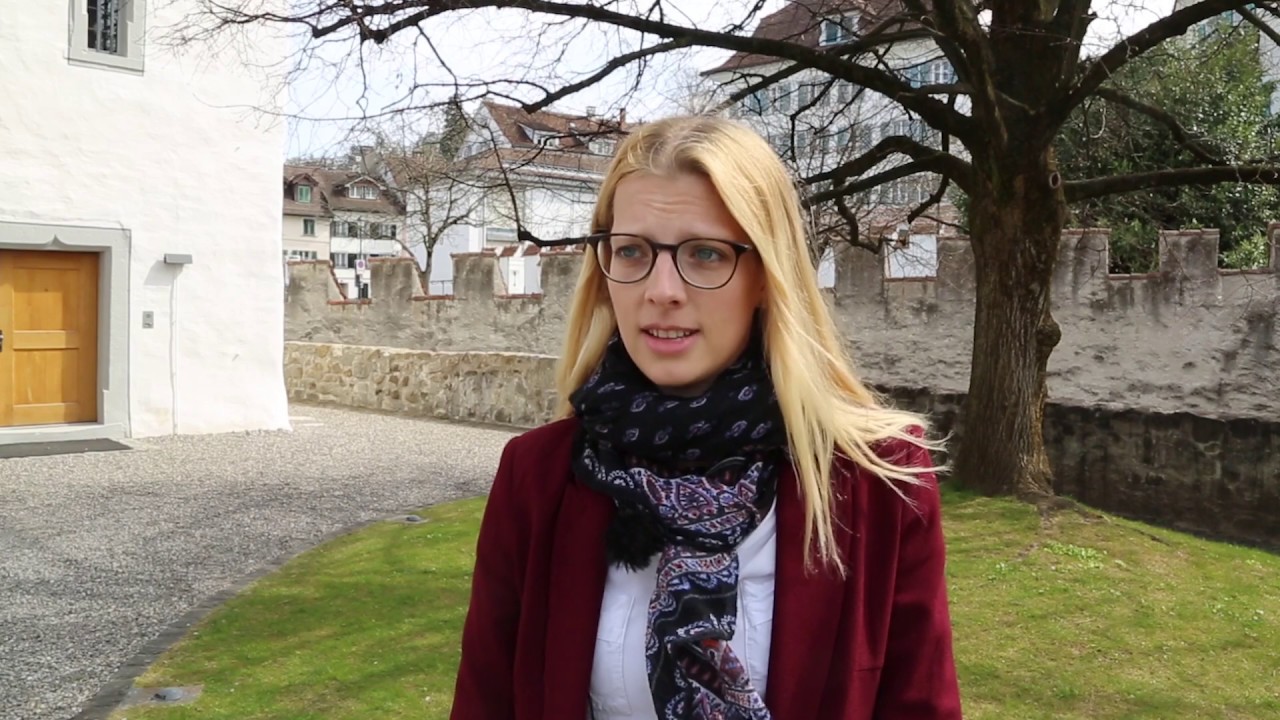 Die Bloodhound vom Gubel - Crowdfunding des Museums Burg Zug