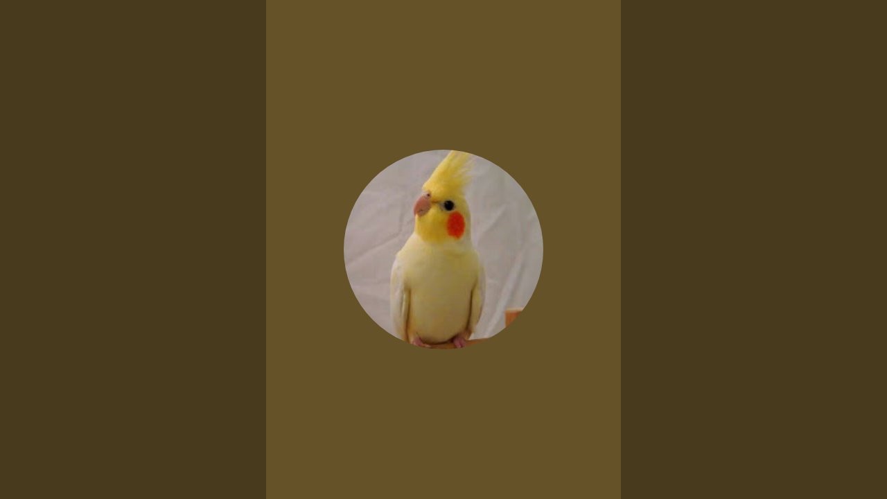 ህይወት እንደኔ ያደከመችዉ ማነዉ