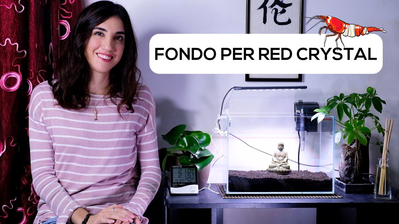 Come CALCOLARE la quantità di FONDO per un acquario