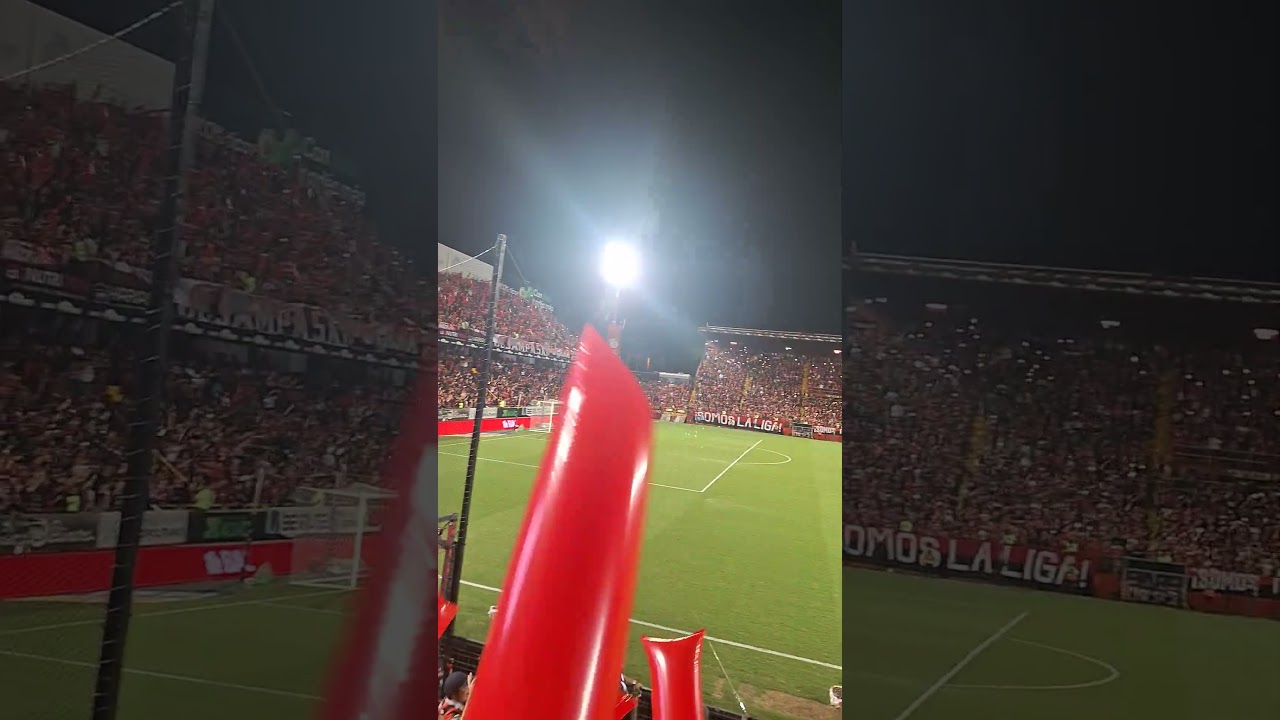 Vamos León, de seguro vas a ser Campeón!!! Aquí estoy, MANUDO MORIRÉ!!! LIGA CAMPEÓN 2025 ❤️❤️🖤🖤🏆🏆🏆🏆