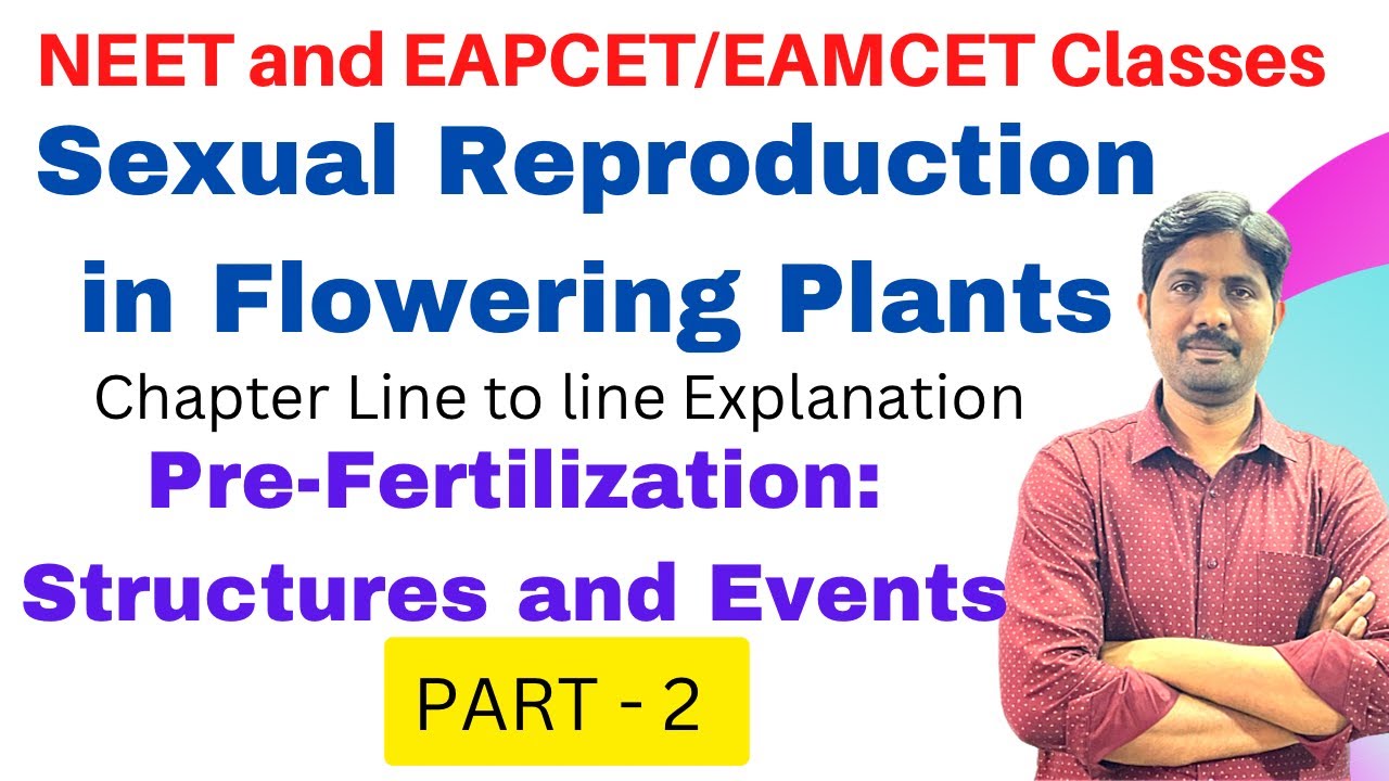 Pre Fertilization : Structures and Events || Sexual Reproduction in Flowering Plants || PART 2