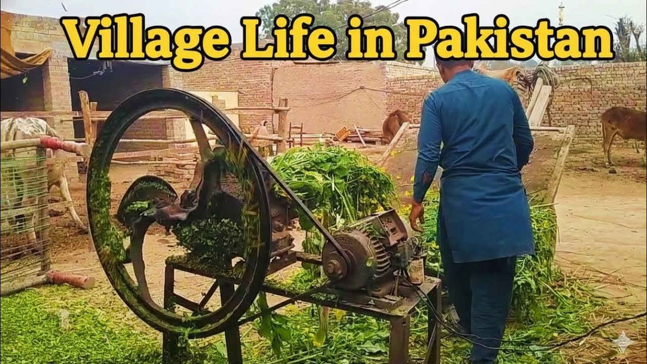 Village Life in Punjab Pakistan | Simple Life, Pure Happiness 🌾