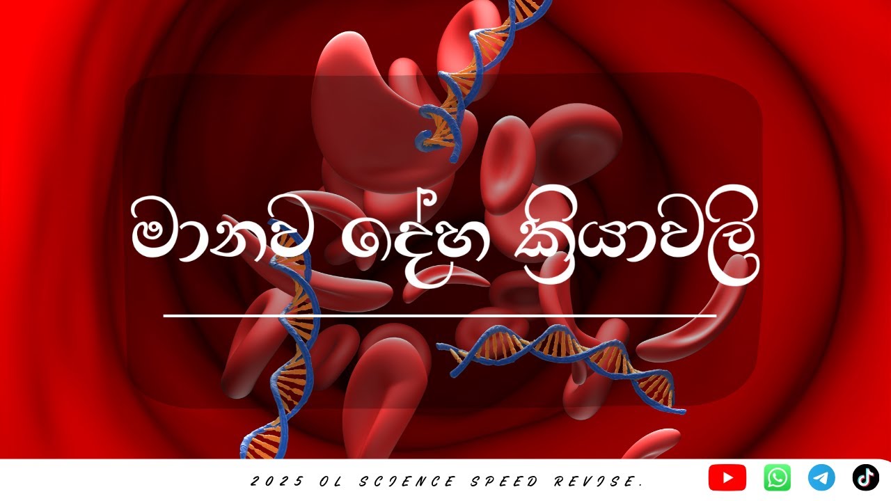 මානව දේහ ක්‍රියාවලි Part-5