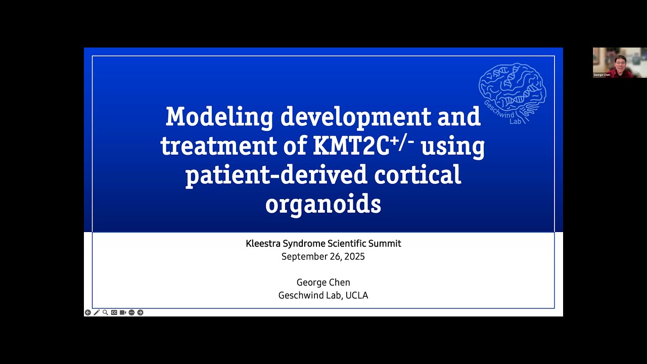 Modeling development and treatment of KMT2C-mutations using patient-derived cortical organoids