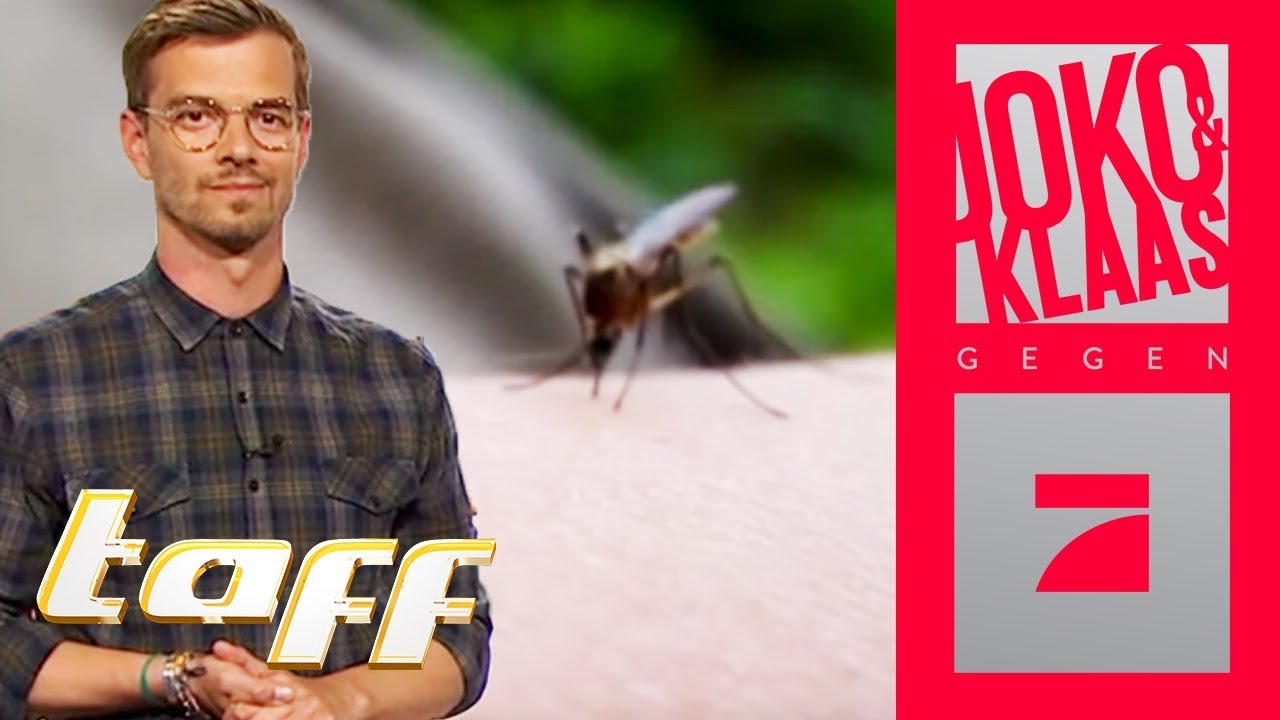 M&uuml;ckenplage EXTREM: Joko analysiert das Ph&auml;nomen! | taff Joko & Klaas Spezial | ProSieben