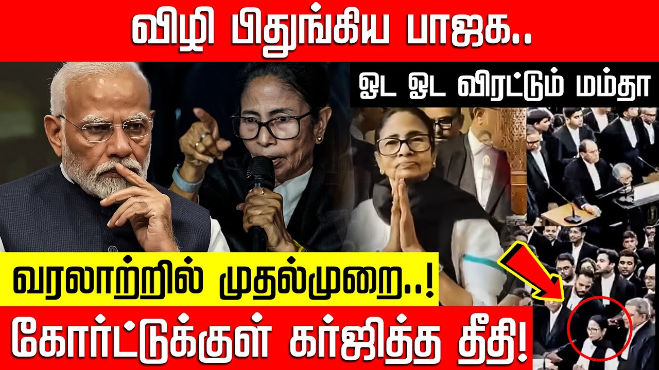 உச்ச நீதிமன்றத்திற்குள் கர்ஜித்த முதல்வர்... பாஜகவை ஓட ஓட விரட்டும் Mamata! Court | SIR | Nakkheeran