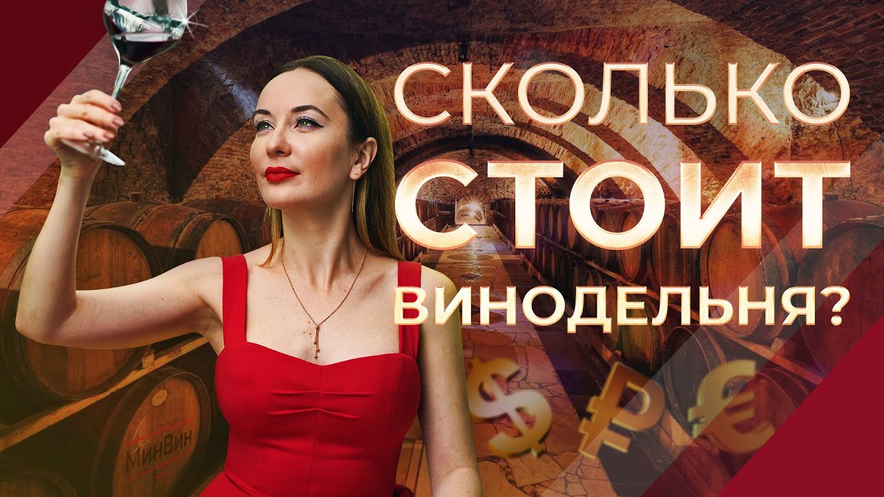 Свое вино. Дорого ли стоит винодельня? МинВин посчитал! #вино #винодельня #сколькостоит