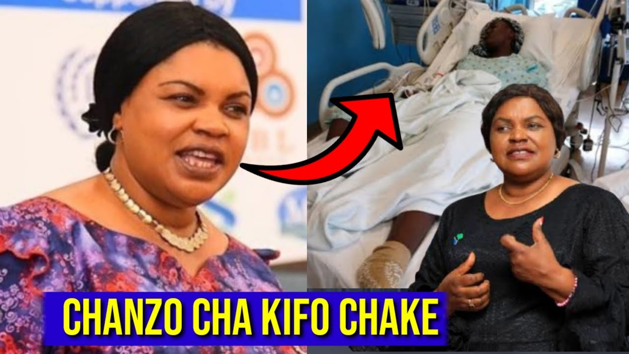 HISTORIA YA JENISTA MHAGAMA MPAKA KIFO CHAKE NINI CHANZO TAZAMA