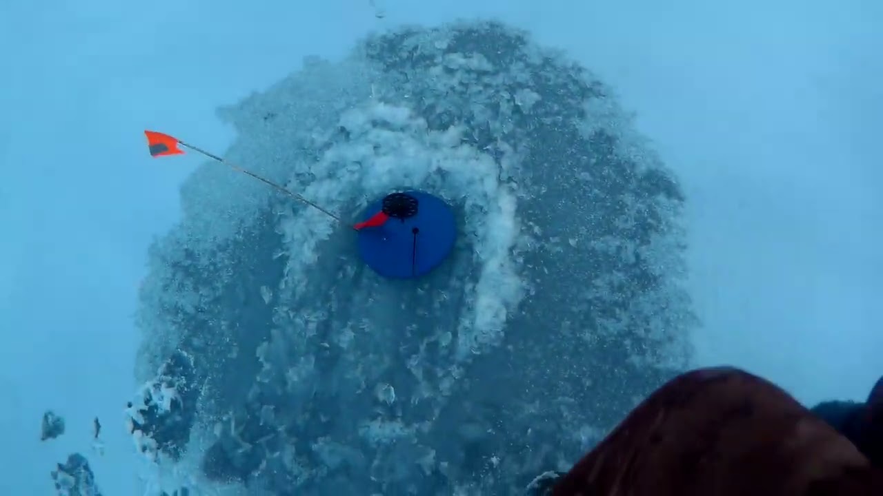 Первый лед 2023. Жерлицы, балансиры.