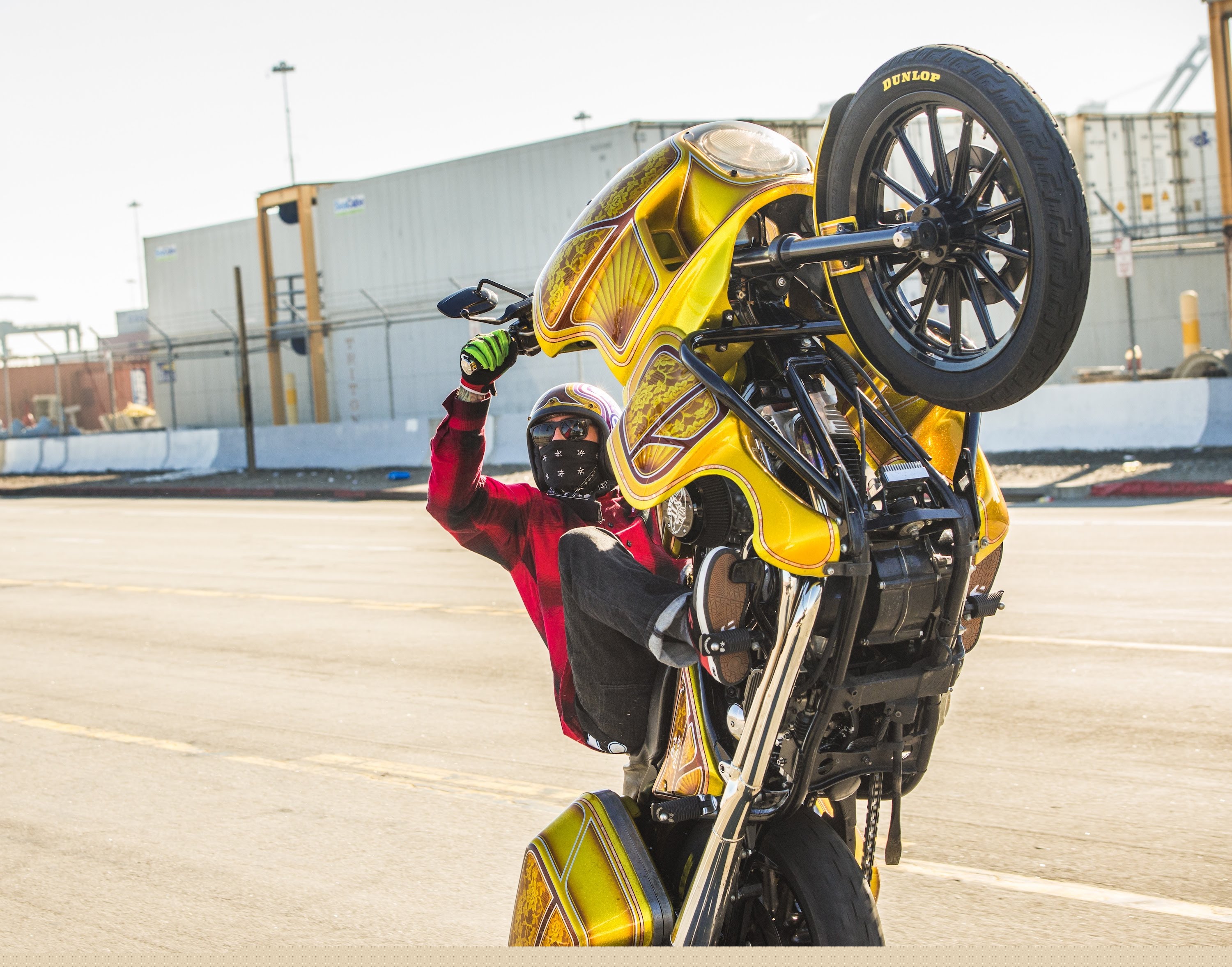 Harley Wheelies 12 - UNKNOWN Industries