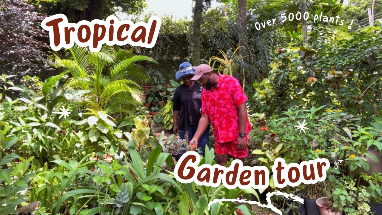 She has over 5000 plants in her 40 year old garden !!. A massive garden tour !
