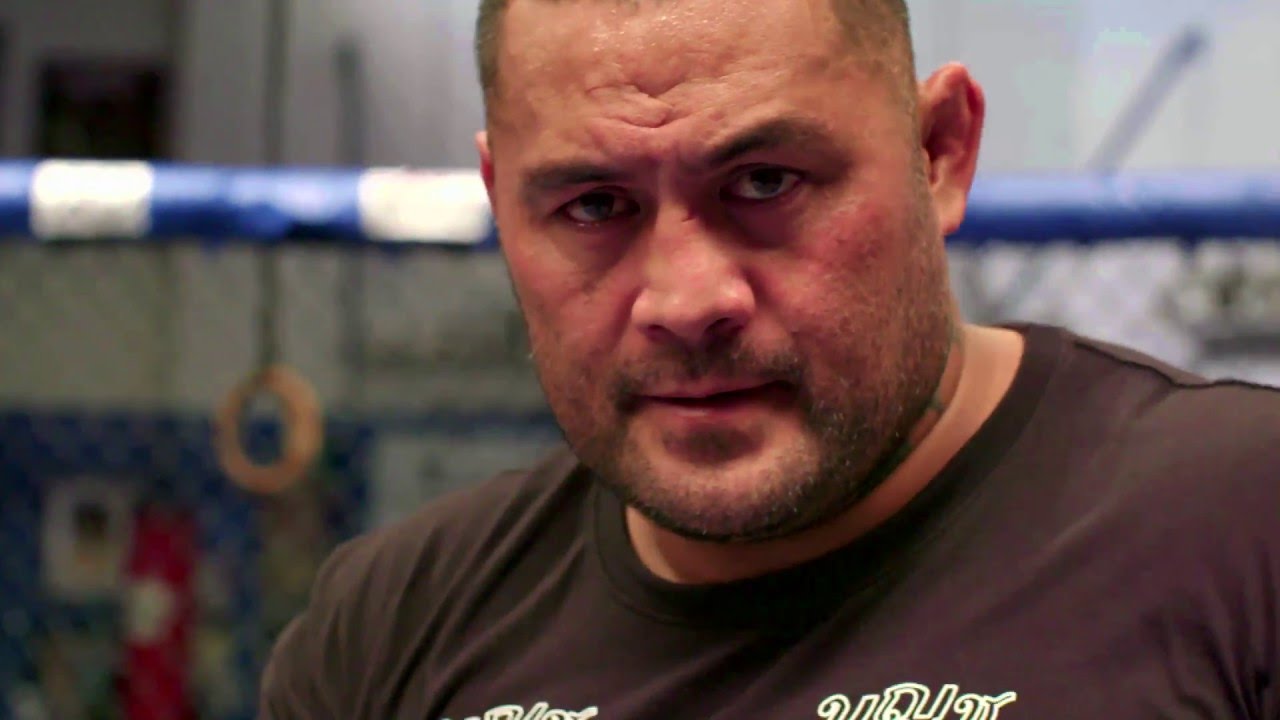 Fight Night Brisbane: Hunt vs Mir - Joe Rogan Preview