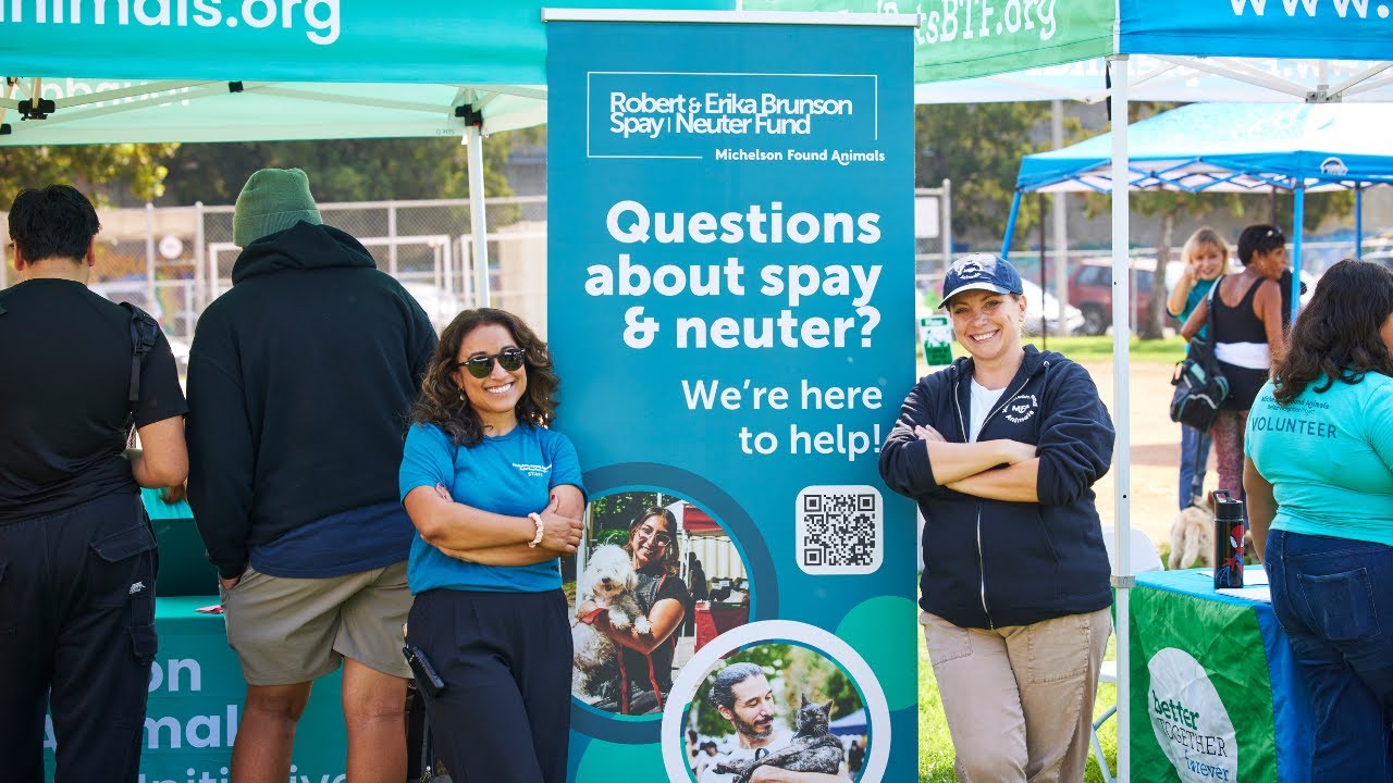 Celebrating World Spay Day: Launching Our Spay & Neuter Initiatives Resource Center