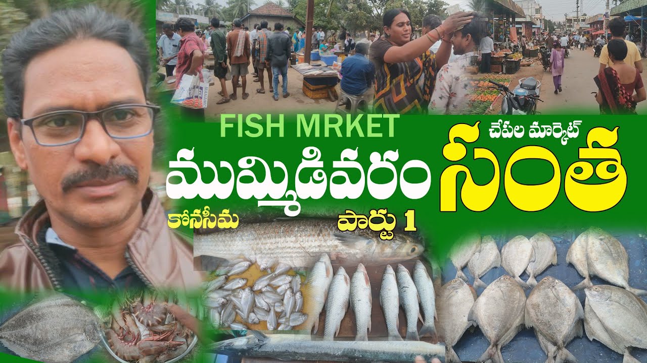 Mumidivaram santha fish market konaseema ముమ్మిడివరం సంత చేపల మార్కెట్ కోనసీమ రొయ్యల మార్కెట్