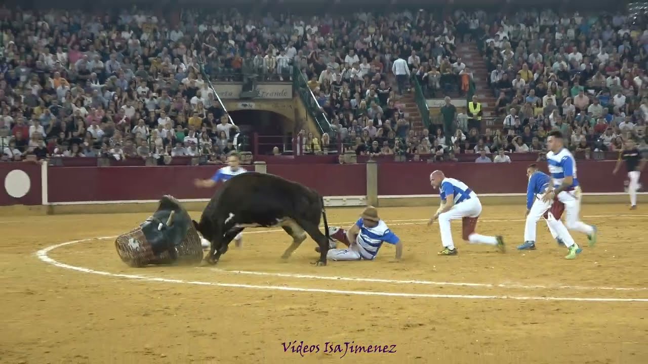 Concurso de roscaderos Zaragoza 11/10/2022 - EJEA DE LOS CABALLEROS 2 - HD