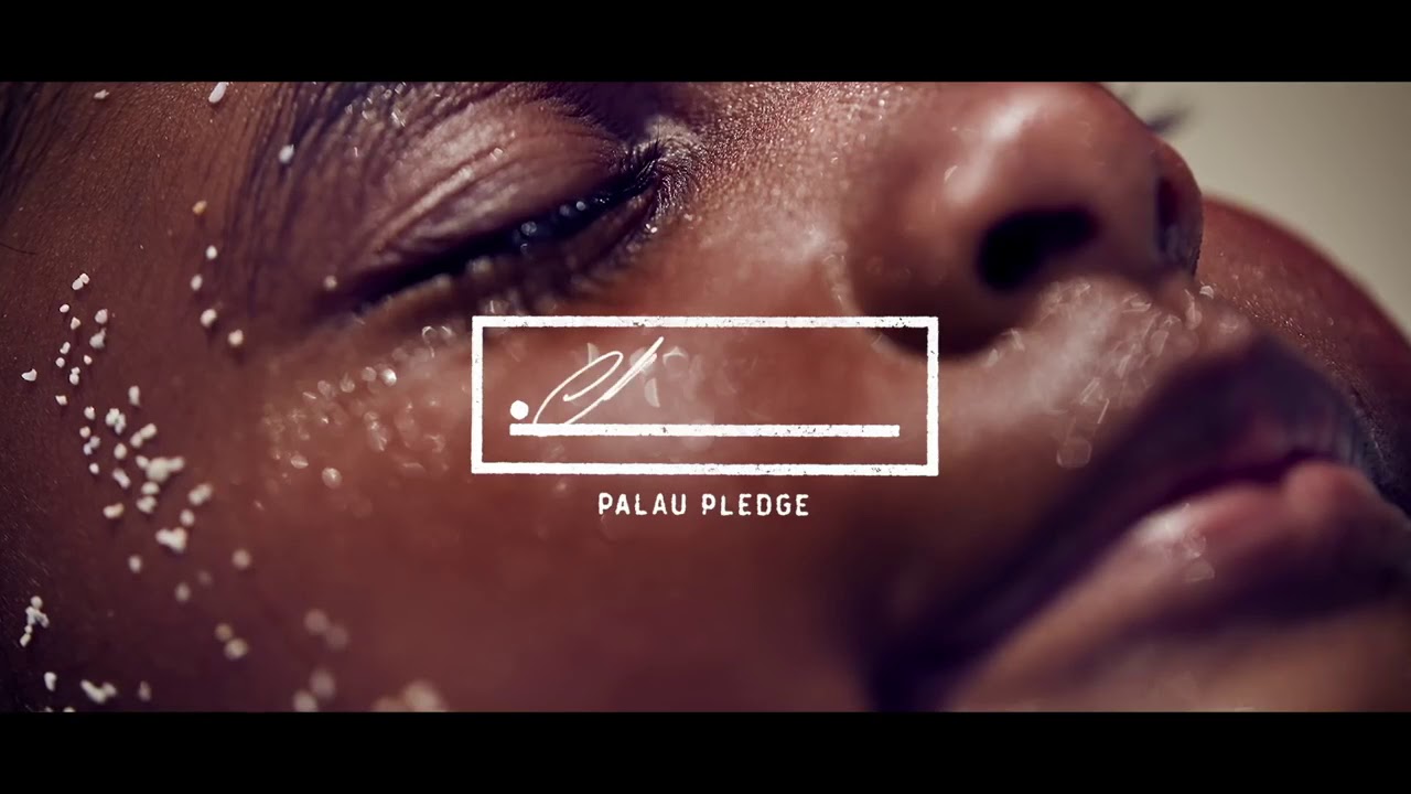 World-first eco-pledge stamped in all visitor’s passports | Palau Pledge