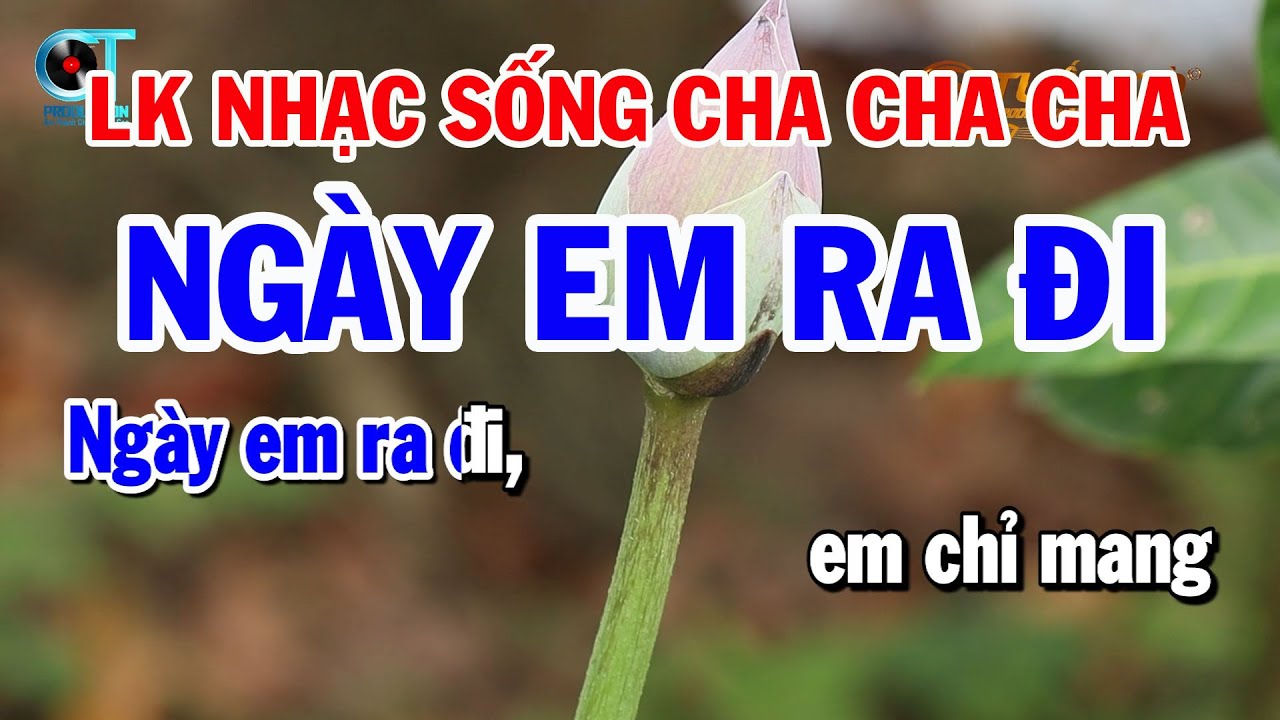 Karaoke Li&ecirc;n Kh&uacute;c Nhạc Cha Cha Tone Nam | Ng&agrave;y Em Ra Đi | V&oacute; Ngựa Tr&ecirc;n Đồi Cỏ Non