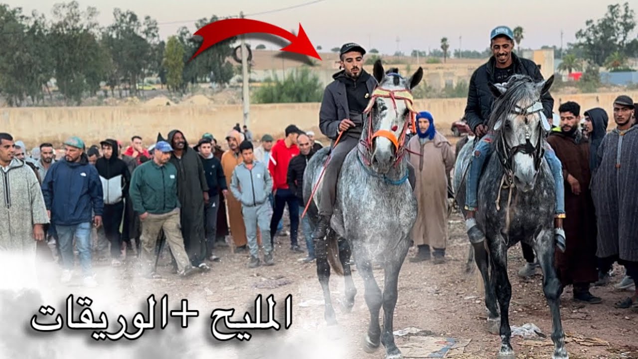 سوق سطات بادريس عندو المليح والوريقات وركوب سوق حماسي 😍