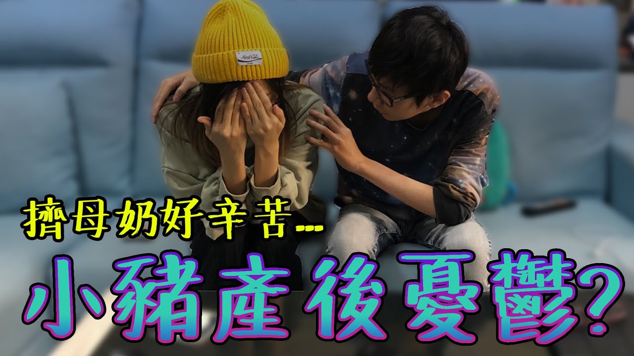 小豬產後憂鬱老爹措手不及...擠母奶真的好辛苦...