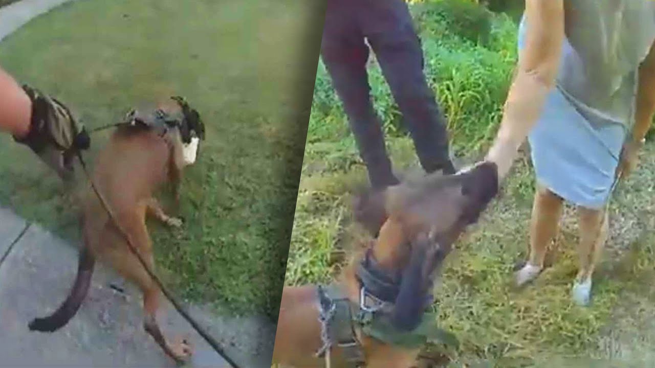 Police K-9 Finds Missing Woman in 22 Minutes