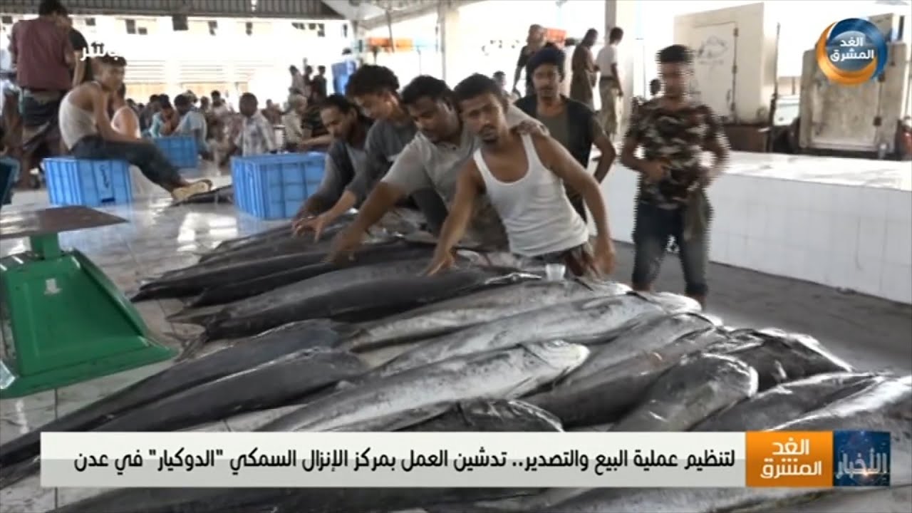 لتنظيم عملية البيع والتصدير.. تدشين العمل بمركز الإنزال السمكي 