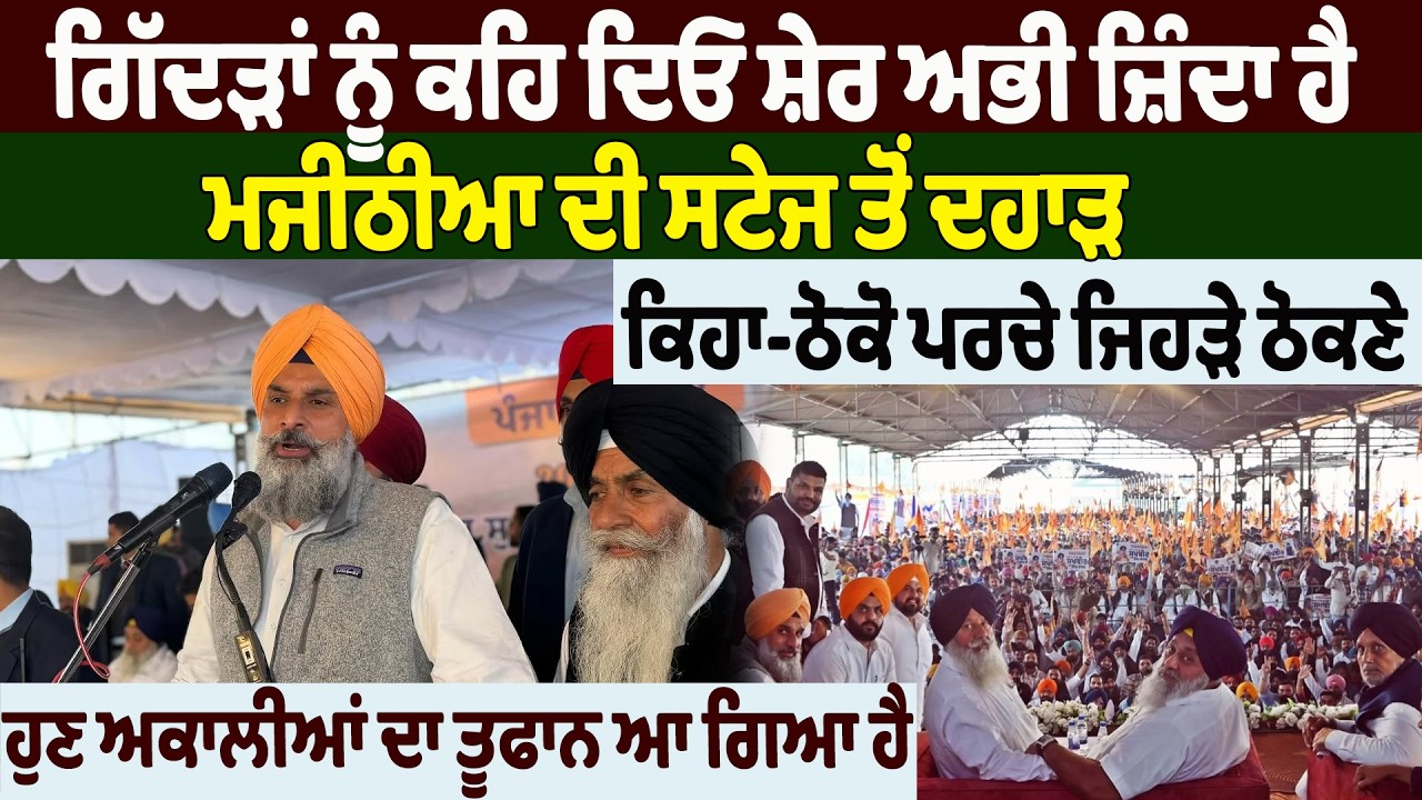 NEWS : ਗਿੱਦੜਾਂ ਨੂੰ ਕਹਿ ਦਿਓ ਸ਼ੇਰ ਅਭੀ ਜ਼ਿੰਦਾ ਹੈ, ਮਜੀਠੀਆ ਦੀ ਸਟੇਜ ਤੋਂ ਦਹਾੜ, ਕਿਹਾ-ਠੋਕੋ ਪਰਚੇ ਜਿਹੜੇ ਠੋਕਣੇ