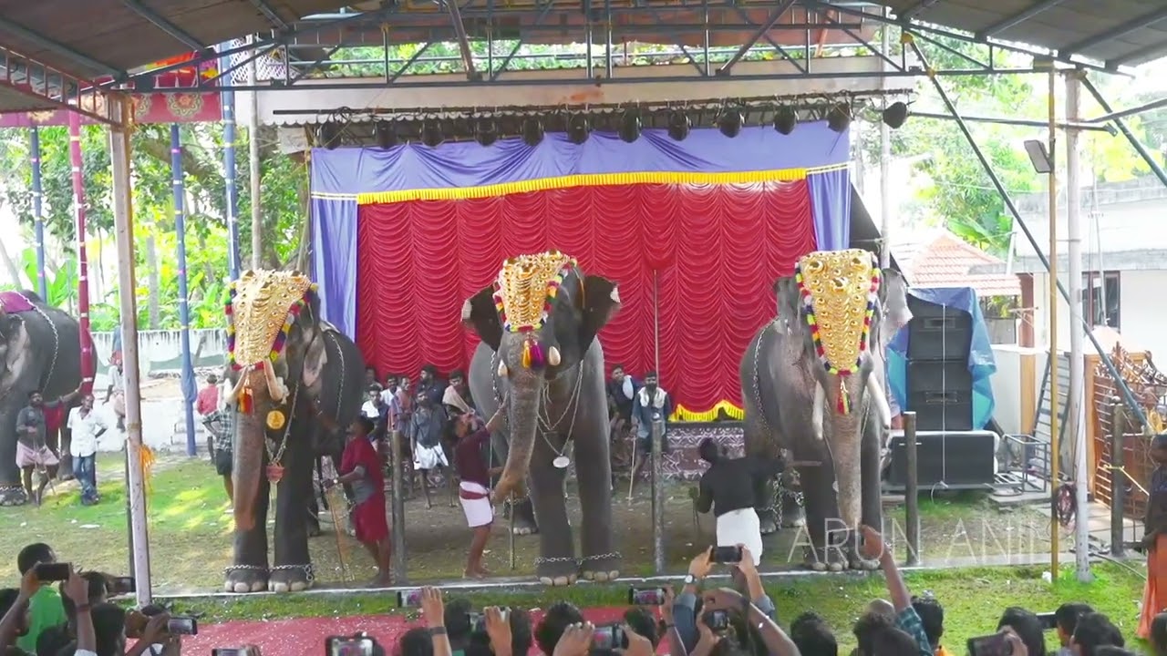 ശ്രീ മല്ലികാർജുന ക്ഷേത്രം തലപൊക്ക മത്സരം 2024 | ആക്കാവിള വിഷ്ണു നാരായണൻ |  ശ്രീകുമാർ |  മണികണ്ഠൻ |
