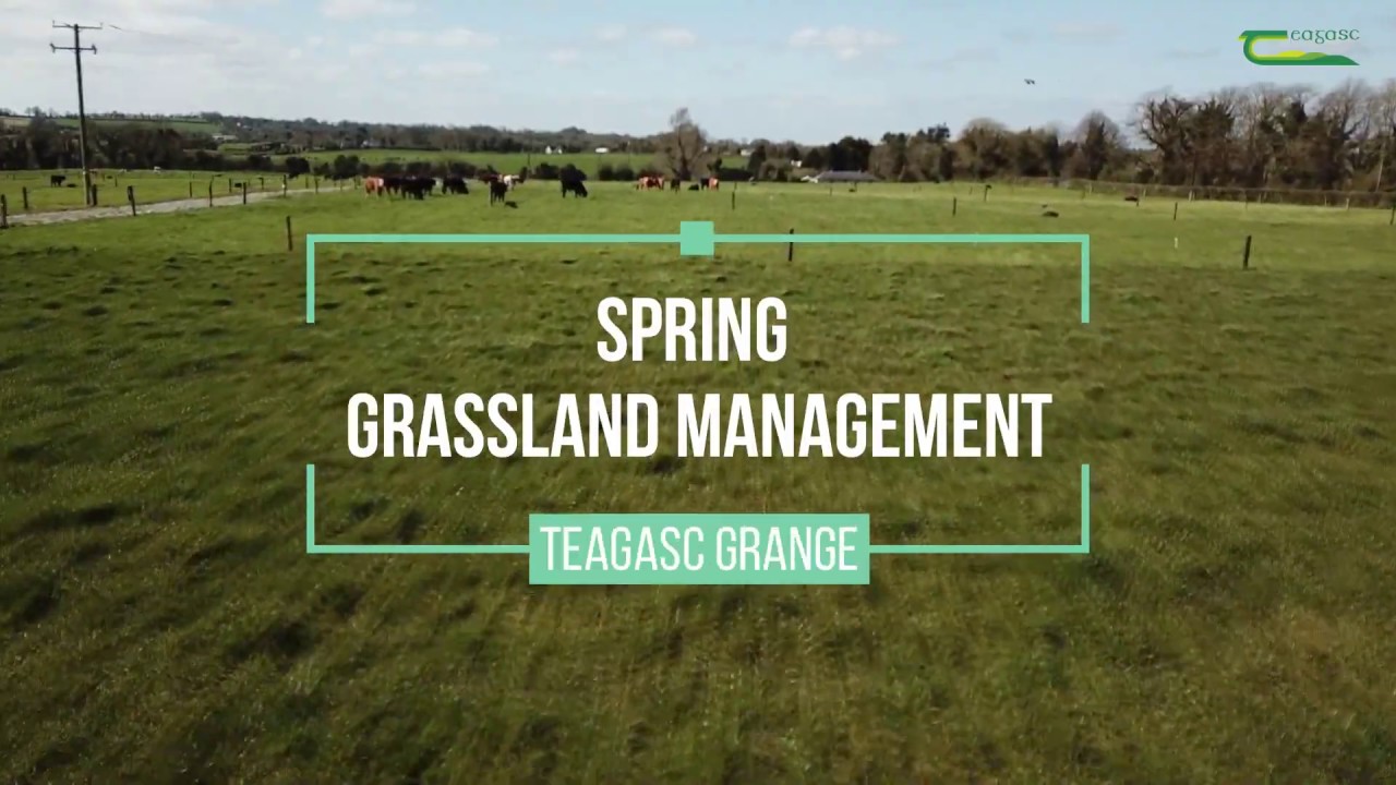 Spring Grassland Management at Teagasc Grange