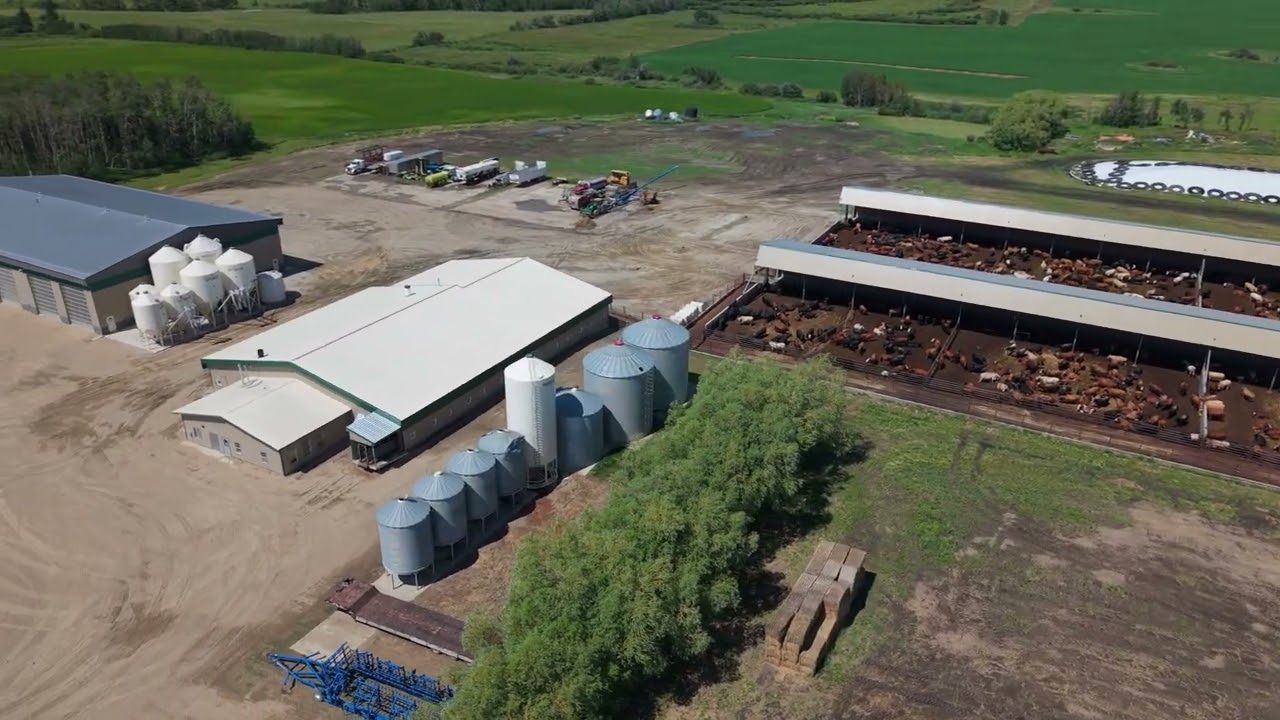 Building for Agriculture: Double T Feedlot Client Testimonial | Eagle Builders