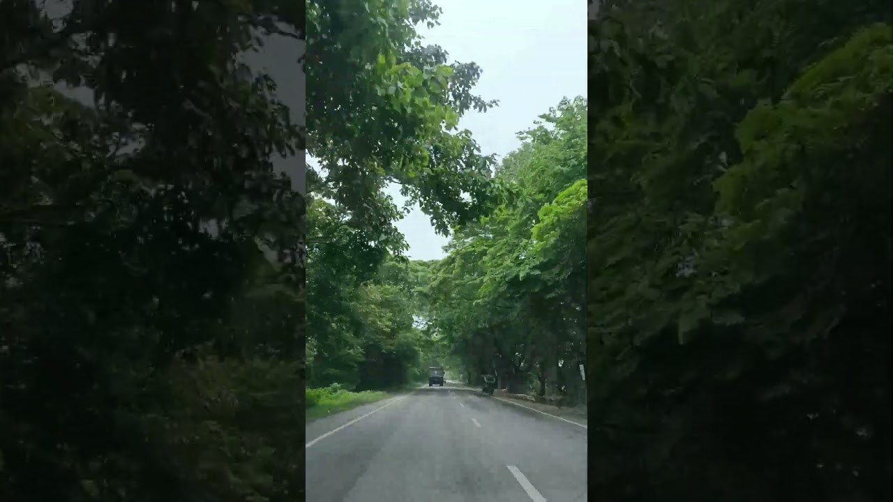 #roadtripindia #travel #nature
