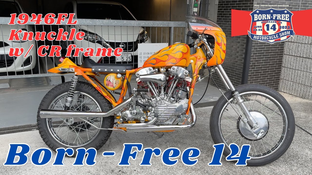 Hawgholic's Born-Free 14 Knucklehead Cafe Racer🦅