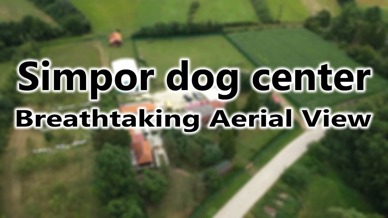 Simpor Dog Center from Above: A Breathtaking Aerial View
