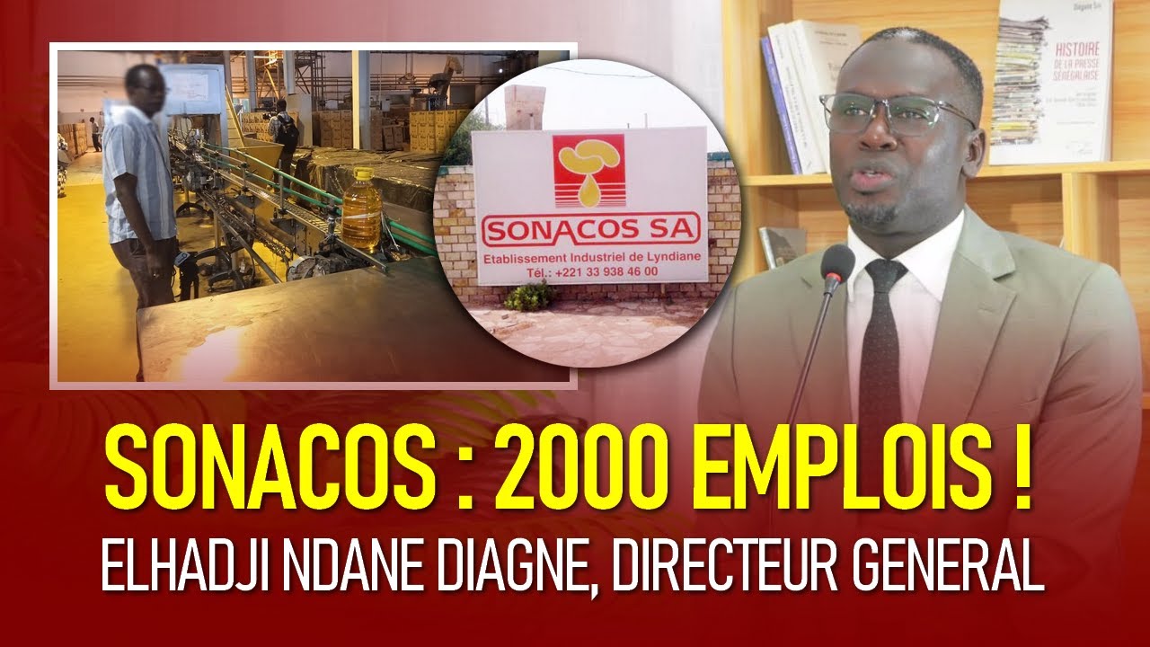 SONACOS Créer Na 2000 Emplois ci 7 mois - Elhadji Ndane Diagne, Directeur Général