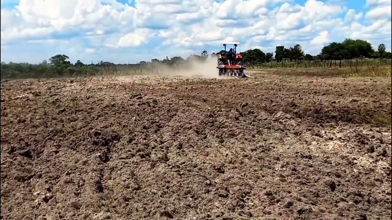ARANDO A TERRA PARA PLANTAÇÃO DE CAPIM