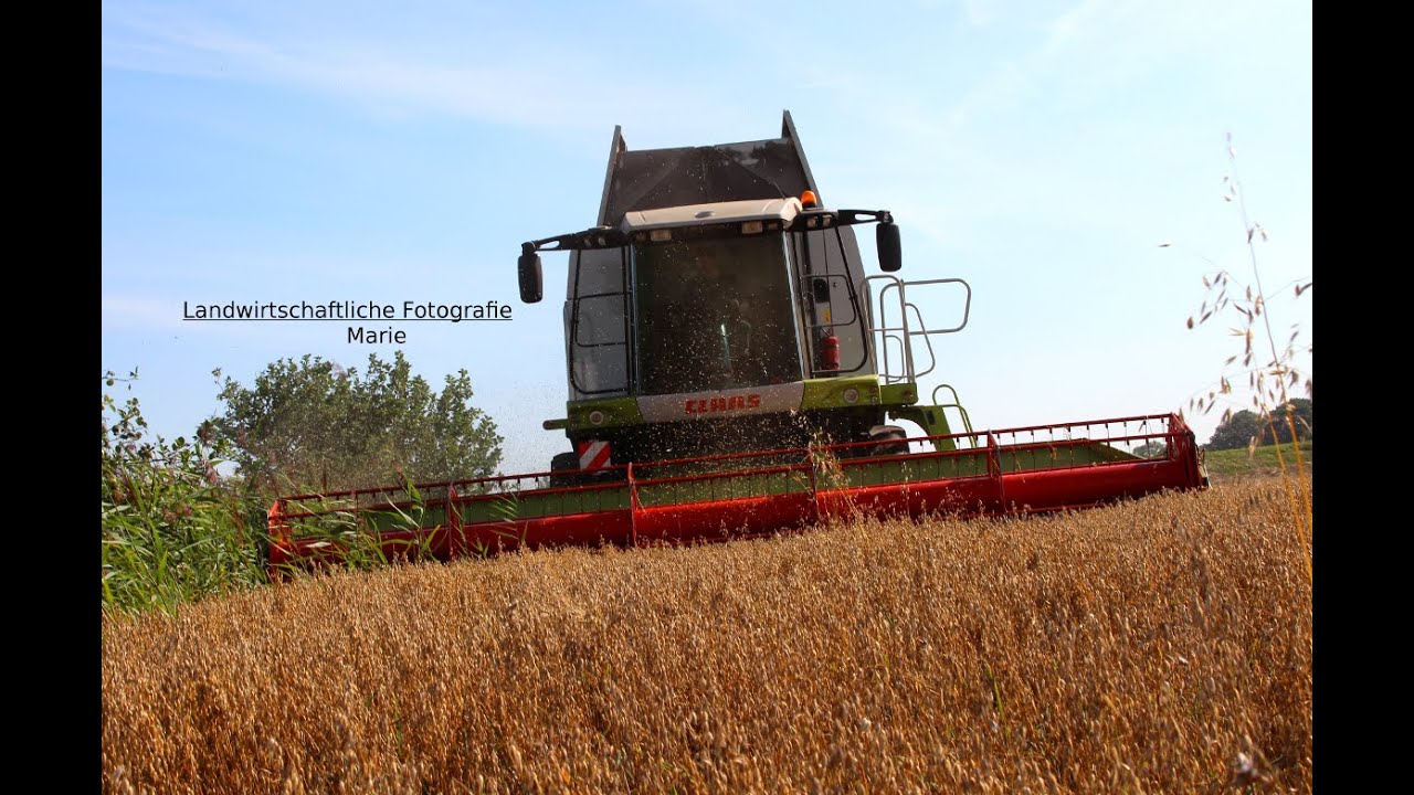 [HD] Claas Lexion 570 beim Raps und Hafer dreschen || Lu Hinrichs