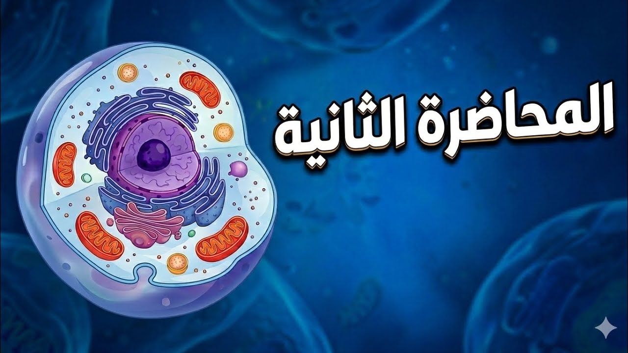 أحياء || الفصل الأول || الخلية /حجم الخلية وبدائيّة النواة