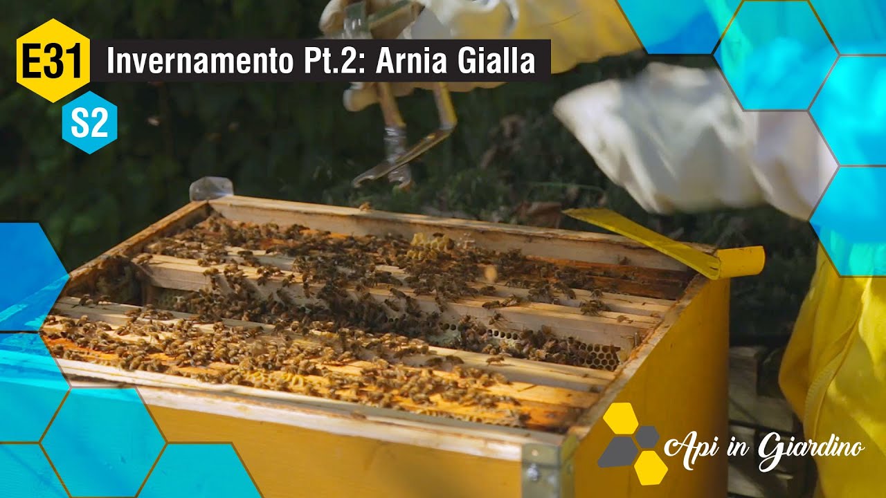 AiG -S2 E31- Invernamento Pt.2: Arnia Gialla 🐝❄️🥶