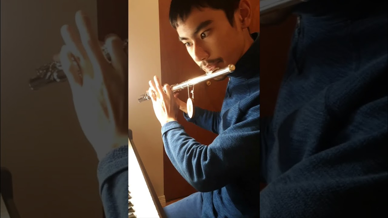 Edward Pola and George Wyle - It's the Most Wonderful Time of the Year (Flute Vers.)