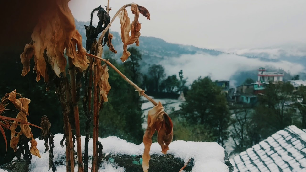 best snowfall WhatsApp status