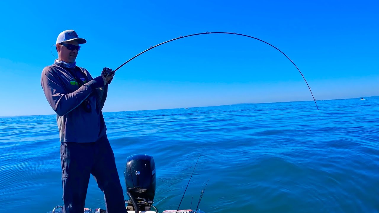 One of my BEST day's on the bay