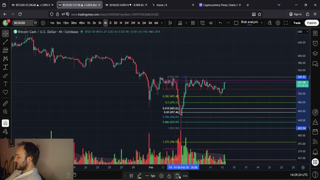 Is Bitcoin Cash BCH About To Pump!?!?! Friday the 13th Analysis